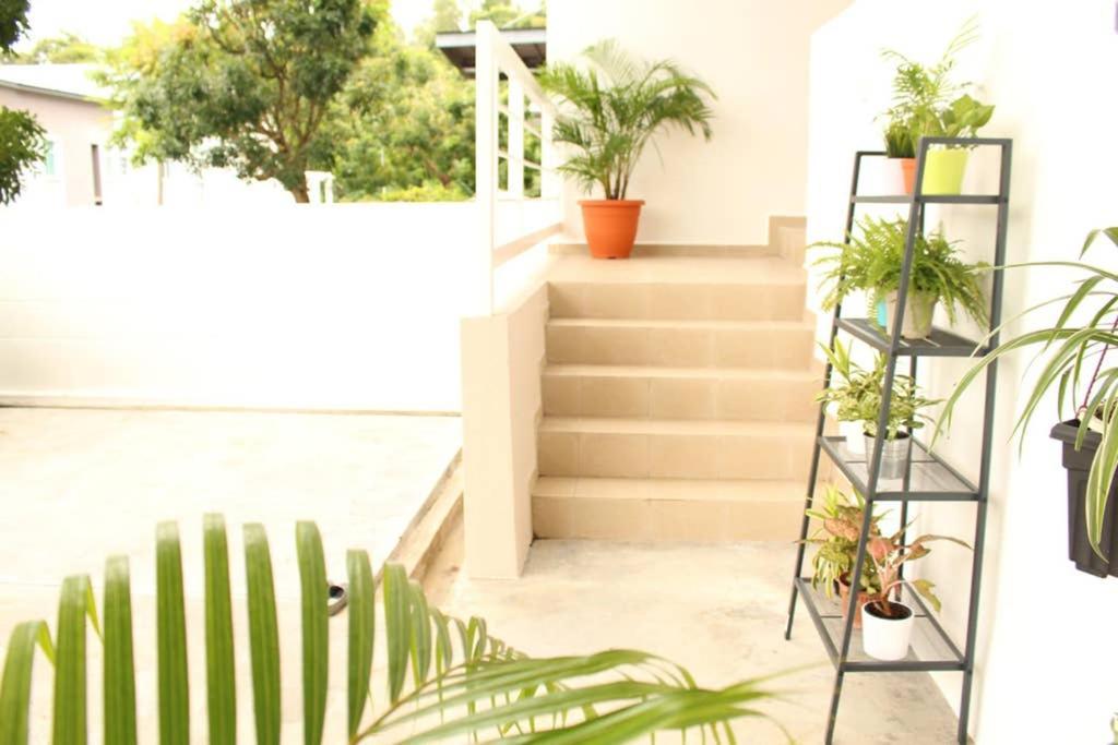 NEW SEAVIEW Cozy Modern Beach House Tanjung Bungah  Exterior foto